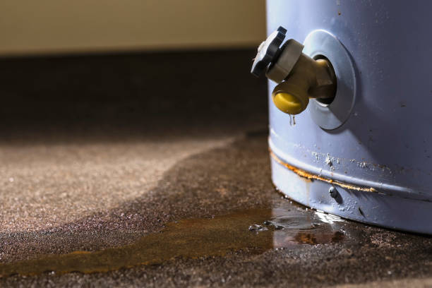 Best Carpet water damage restoration  in Westlake Vlage, IL