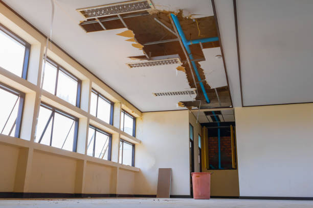 Best Commercial water damage restoration  in Westlake Vlage, IL