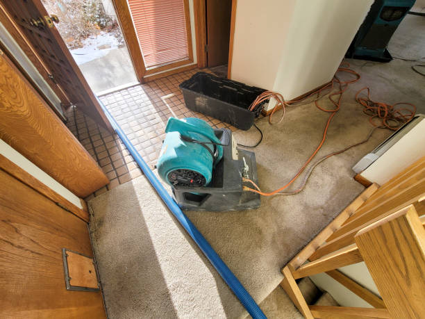 Best Sewage cleanup and water damage restoration  in Westlake Vlage, IL