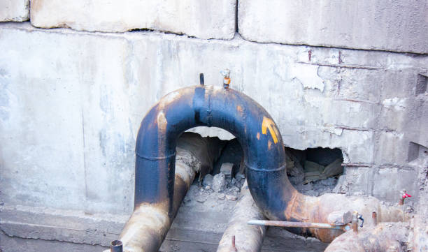 Best Water damage contractors near me  in Westlake Vlage, IL