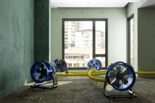 Best Professional water damage repair  in Westlake Vlage, IL